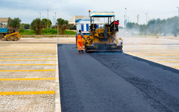 Best Driveway Paver Sealing  in La Grulla, TX