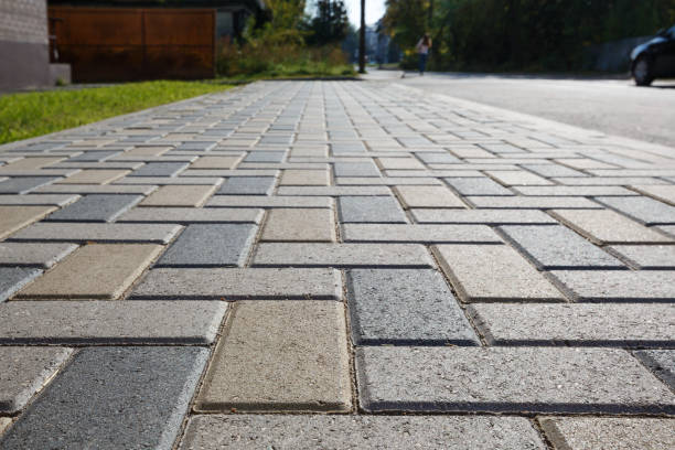 Best Affordable Driveway Paving  in La Grulla, TX