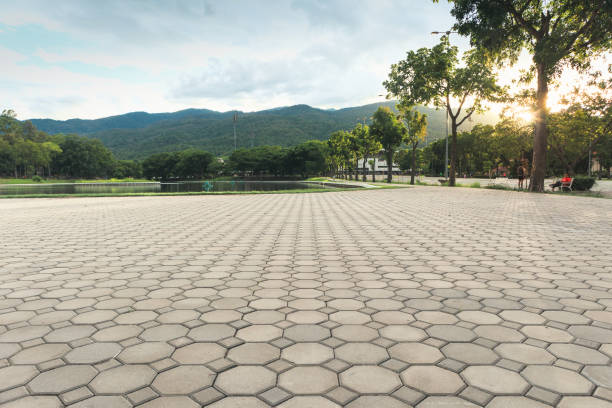 Best Permeable Paver Driveway  in La Grulla, TX