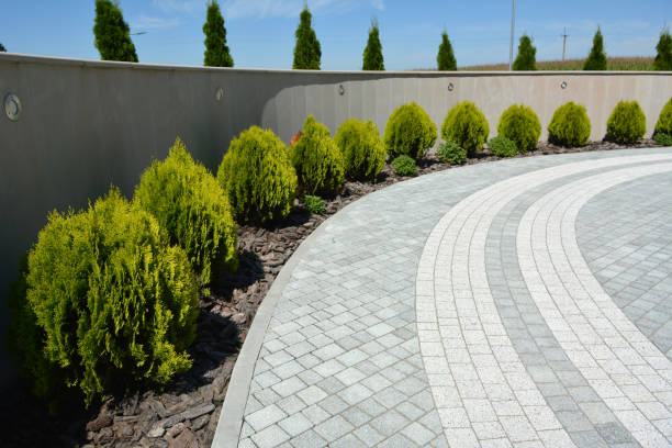 Reasons to Select Us for Your Driveway Paving Requirements in La Grulla, TX