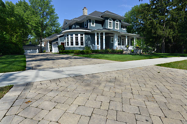 Best Driveway Paving Contractor  in La Grulla, TX