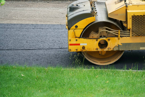 Best Brick Driveway Pavers  in La Grulla, TX