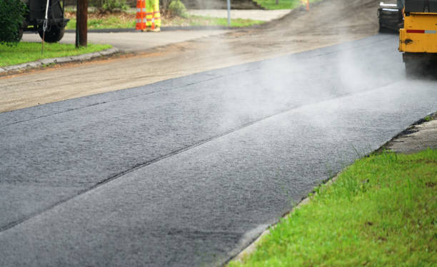 Best Driveway Pavers Cost  in La Grulla, TX