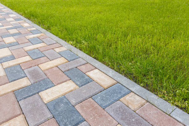 Best Concrete Paver Driveway  in La Grulla, TX